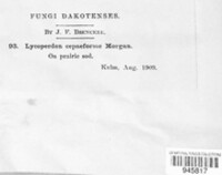 Image Associated With the Occurence